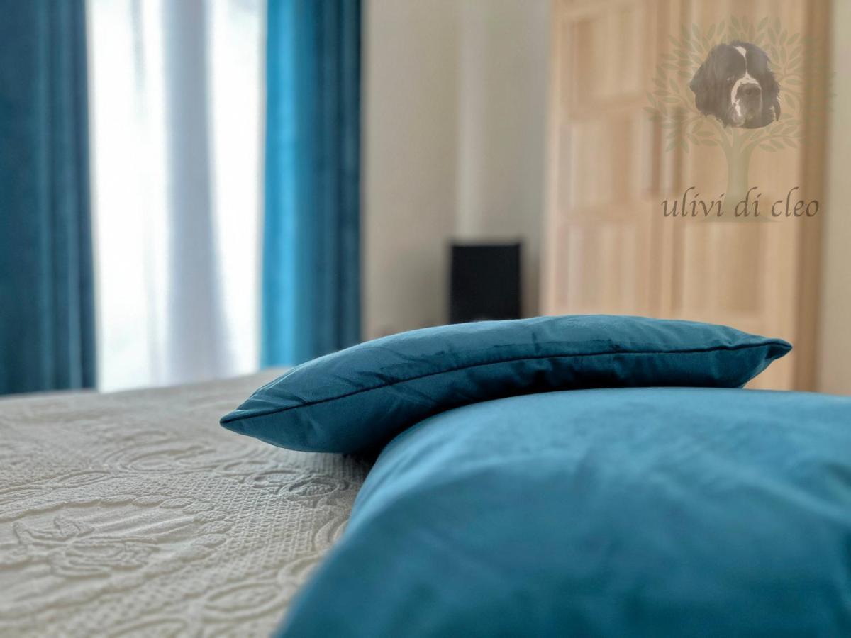 雷阿尔蒙特 Ulivi Di Cleo旅馆 外观 照片